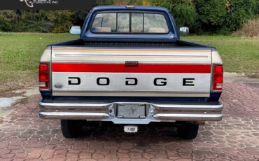 Dodge-ram-250-le-2drstandard-diesel-1992-7
