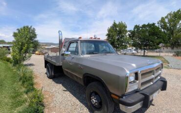Dodge-ram-3500-diesel-1992-8