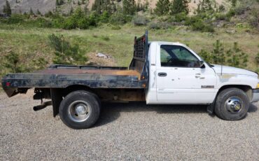 Dodge-ram-3500-diesel-1994-white-1