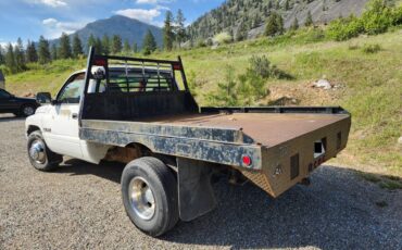 Dodge-ram-3500-diesel-1994-white-6