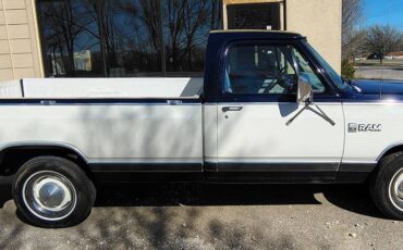 Dodge-ram-d150-1981-blue-13