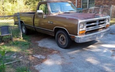 Dodge-ram-d150-1989-brown