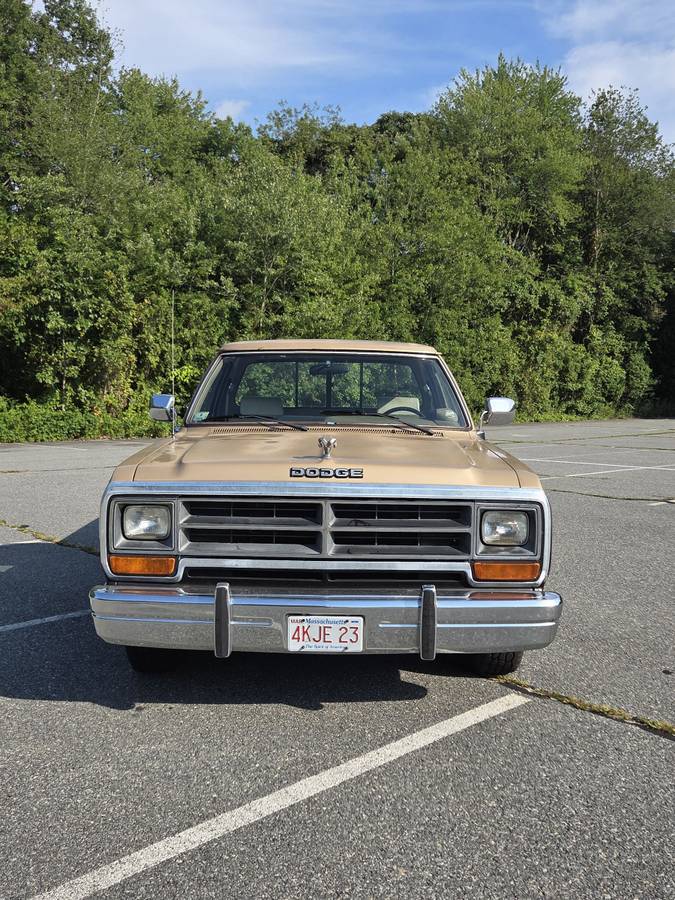 Dodge-ram-d150-1990-brown-1