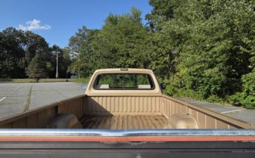 Dodge-ram-d150-1990-brown-10