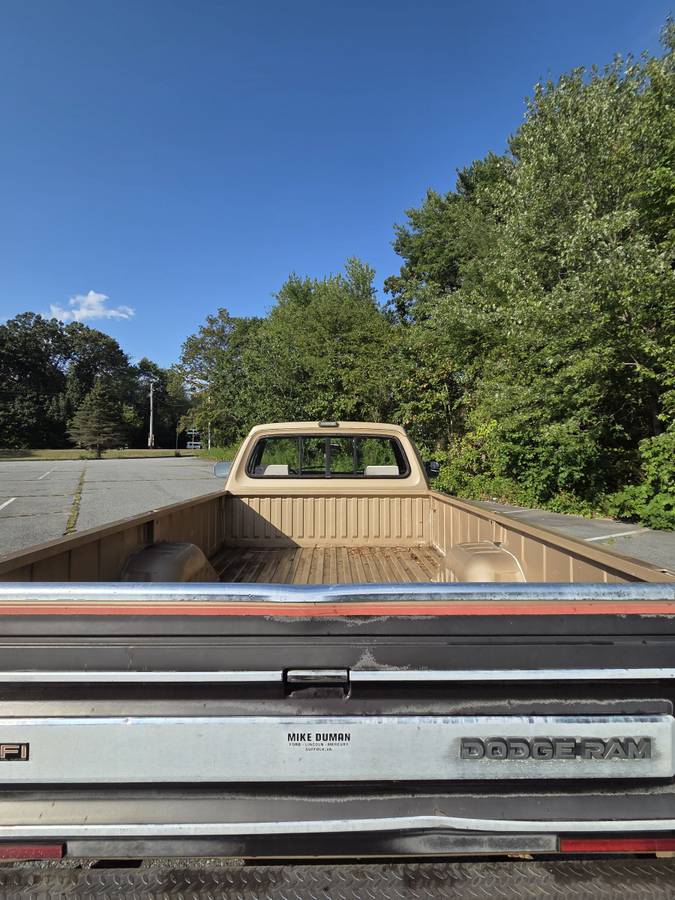 Dodge-ram-d150-1990-brown-10