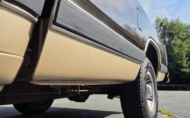 Dodge-ram-d150-1990-brown-17