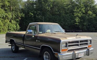 Dodge-ram-d150-1990-brown-2
