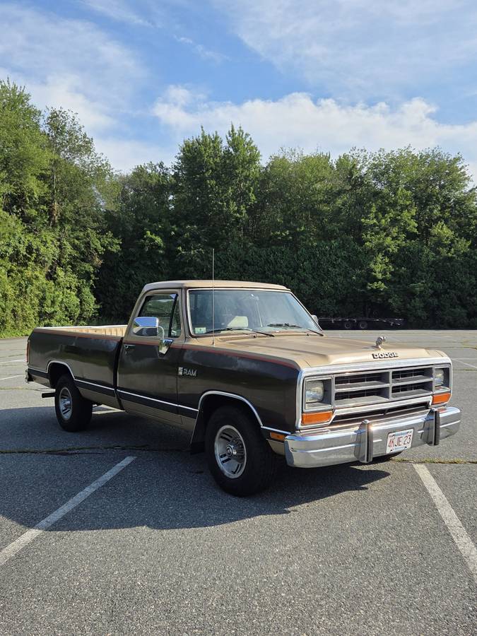 Dodge-ram-d150-1990-brown-2