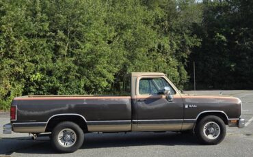 Dodge-ram-d150-1990-brown-3