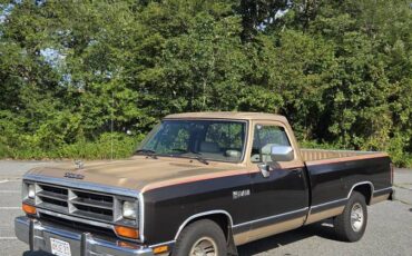 Dodge-ram-d150-1990-brown