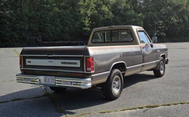 Dodge-ram-d150-1990-brown-4