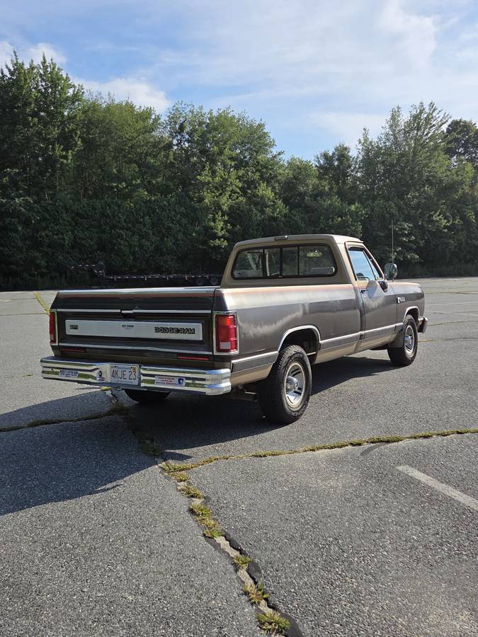 Dodge-ram-d150-1990-brown-4