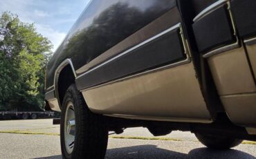 Dodge-ram-d150-1990-brown-6