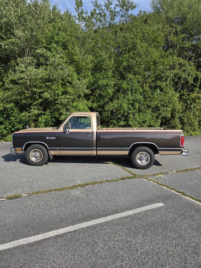 Dodge-ram-d150-1990-brown-7