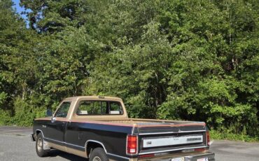 Dodge-ram-d150-1990-brown-8