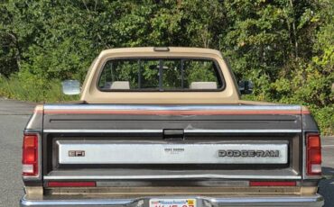 Dodge-ram-d150-1990-brown-9