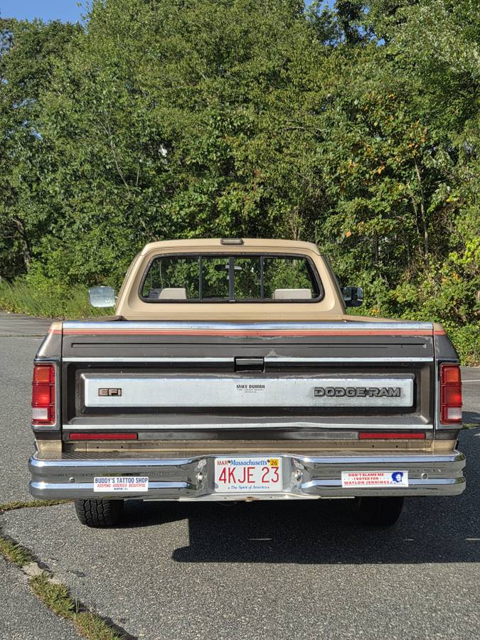 Dodge-ram-d150-1990-brown-9