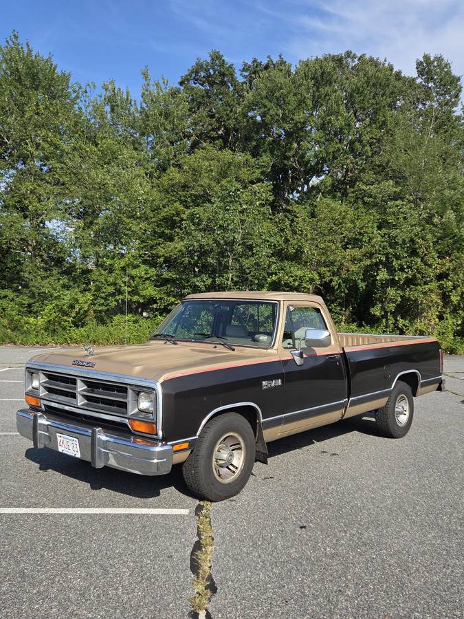 Dodge-ram-d150-1990-brown