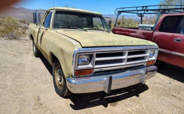 Dodge-ram-d250-1988-green-1