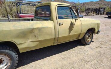 Dodge-ram-d250-1988-green-11