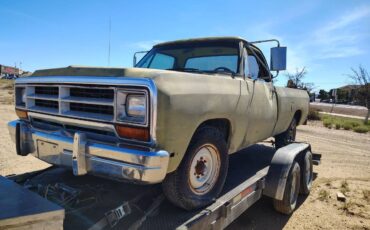 Dodge-ram-d250-1988-green-13