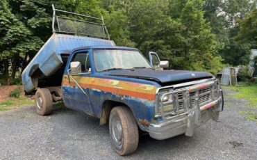 Dodge-ram-d350-1993-blue-2