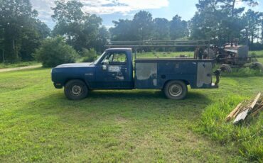 Dodge-ram-diesel-1991-blue-3