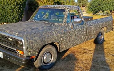 Dodge-ram-light-duty-1500-1990-custom-1