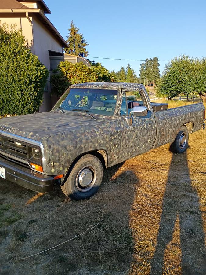 Dodge-ram-light-duty-1500-1990-custom-1