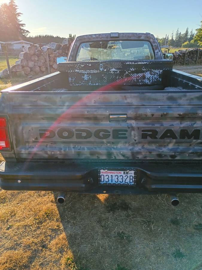 Dodge-ram-light-duty-1500-1990-custom-2