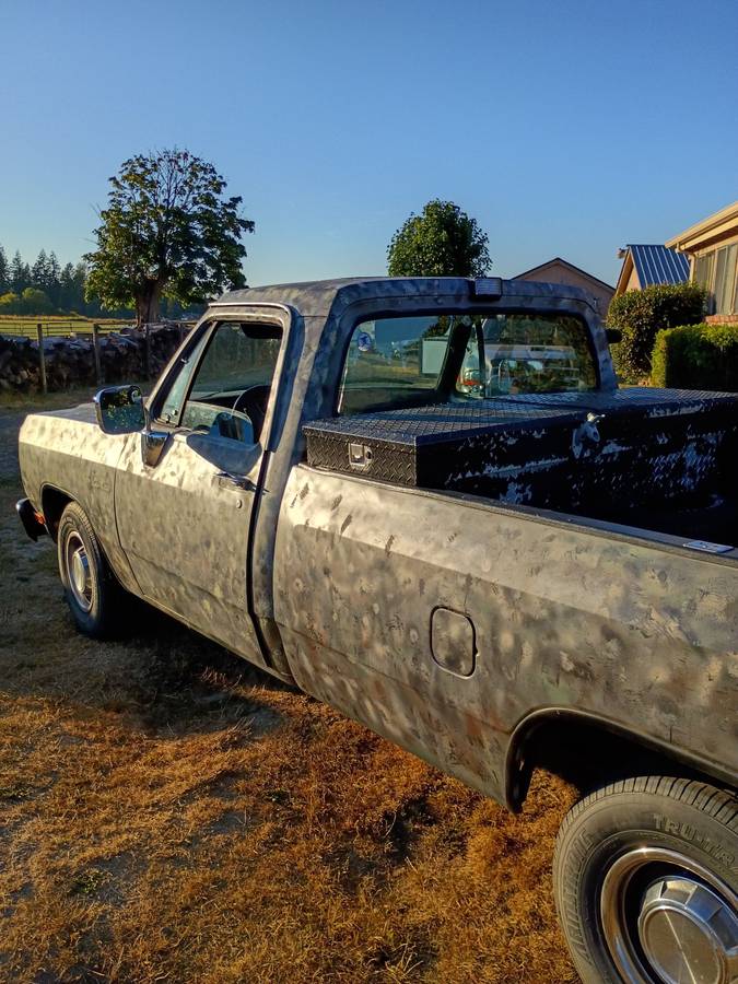 Dodge-ram-light-duty-1500-1990-custom-3