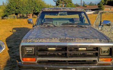 Dodge-ram-light-duty-1500-1990-custom