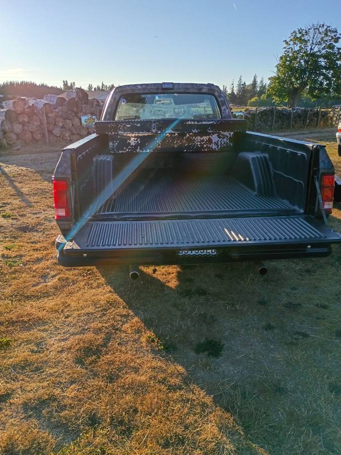 Dodge-ram-light-duty-1500-1990-custom-6