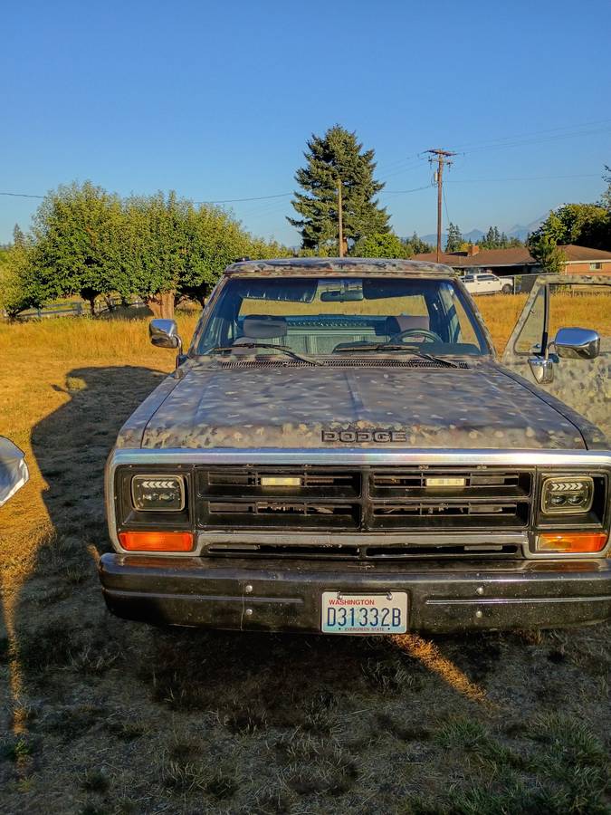 Dodge-ram-light-duty-1500-1990-custom