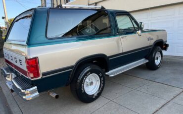 Dodge-ramc-1993-3