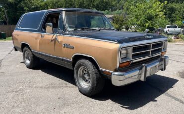 Dodge-ramcharger-1984-brown-1
