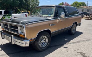 Dodge-ramcharger-1984-brown-2