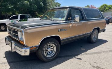 Dodge-ramcharger-1984-brown-3