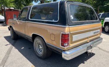 Dodge-ramcharger-1984-brown-5
