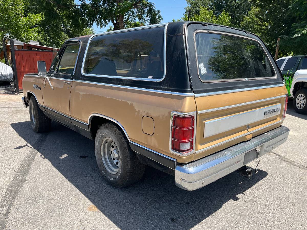 Dodge-ramcharger-1984-brown-5