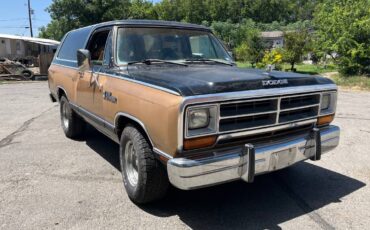 Dodge-ramcharger-1984-brown-8