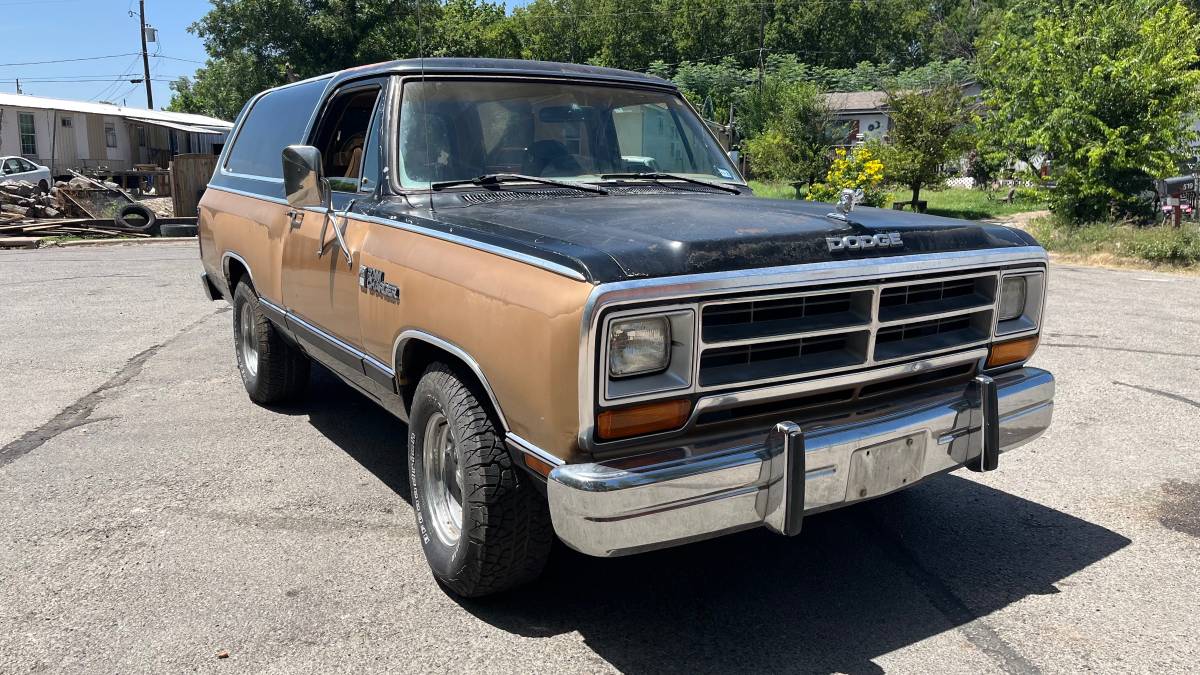 Dodge-ramcharger-1984-brown-8