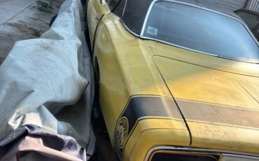 Dodge-superbee-1970-yellow-2