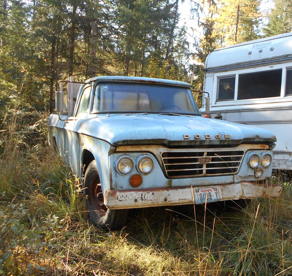 Dodge-sweptline-1964-blue-11