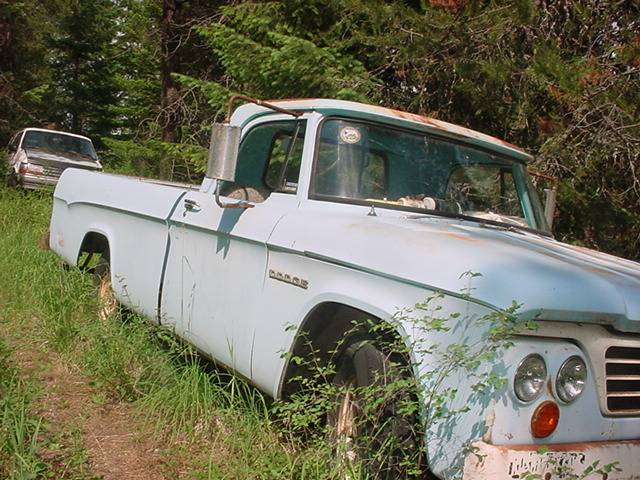 Dodge-sweptline-1964-blue-15