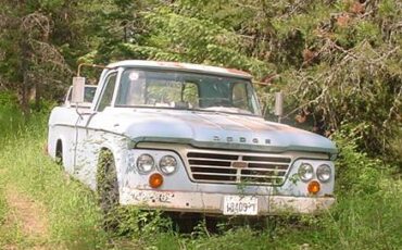 Dodge-sweptline-1964-blue-6
