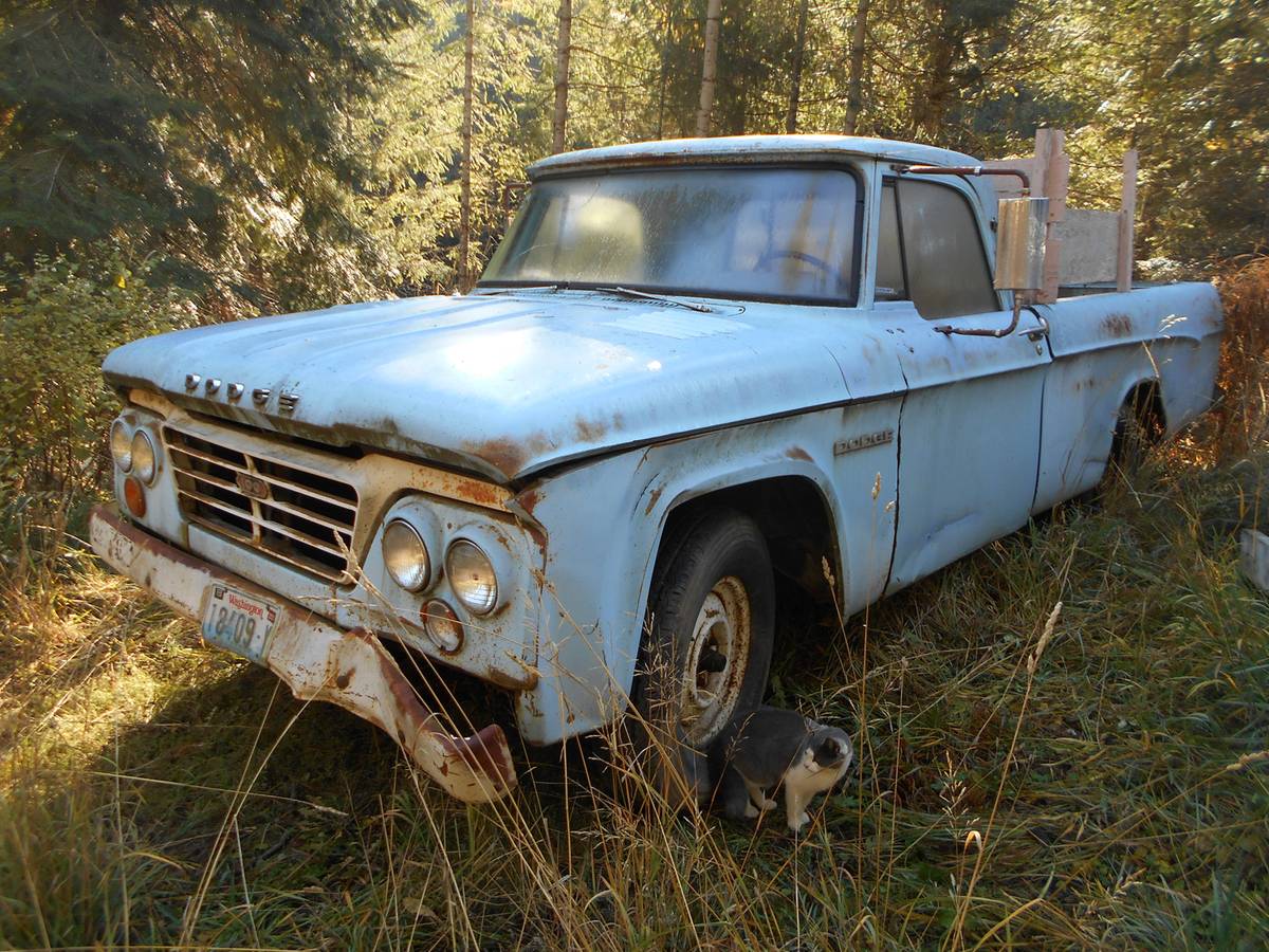 Dodge-sweptline-1964-blue-7