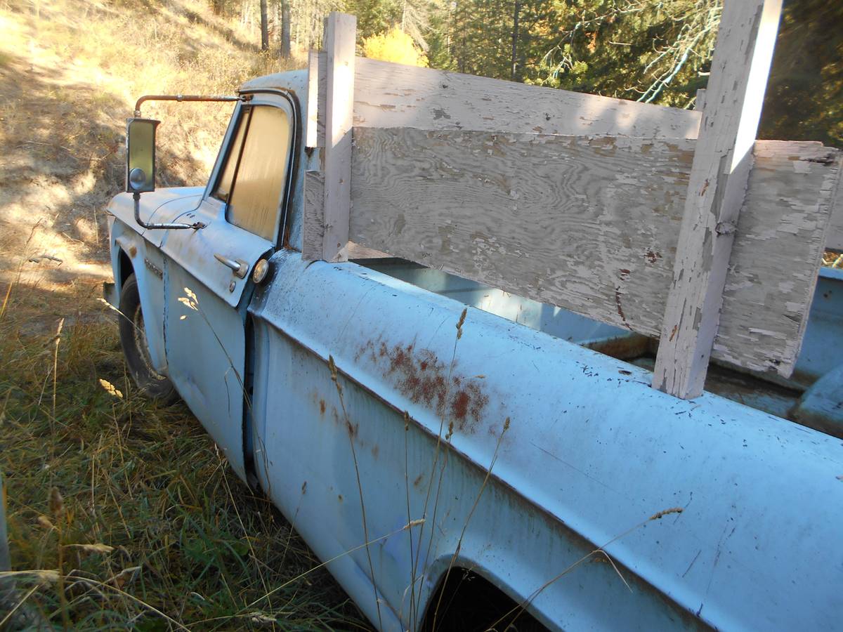 Dodge-sweptline-1964-blue-8