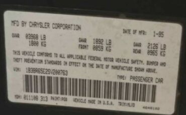 Dodge-viper-rt10-1995-green-12