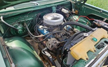 Dodge-w-10-1978-green-12